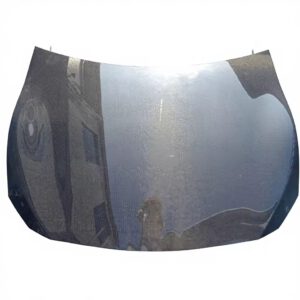 HC OEM Style Carbon Motorhaube